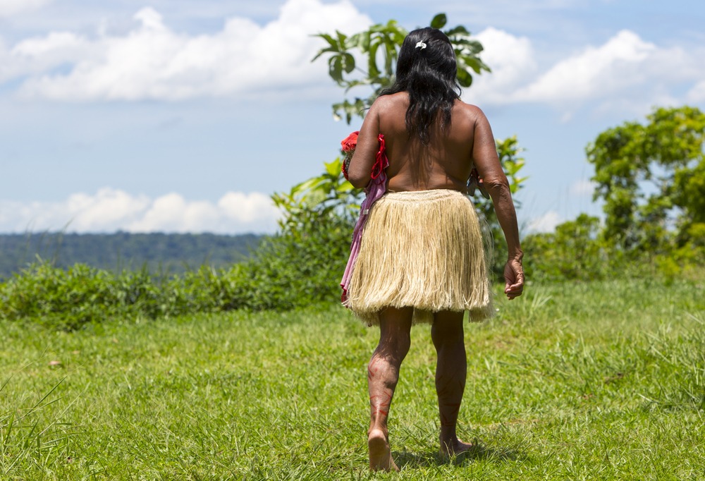 Unearthing Amazon’s Hidden Carbon Vaults: Lessons from Ancient Soils